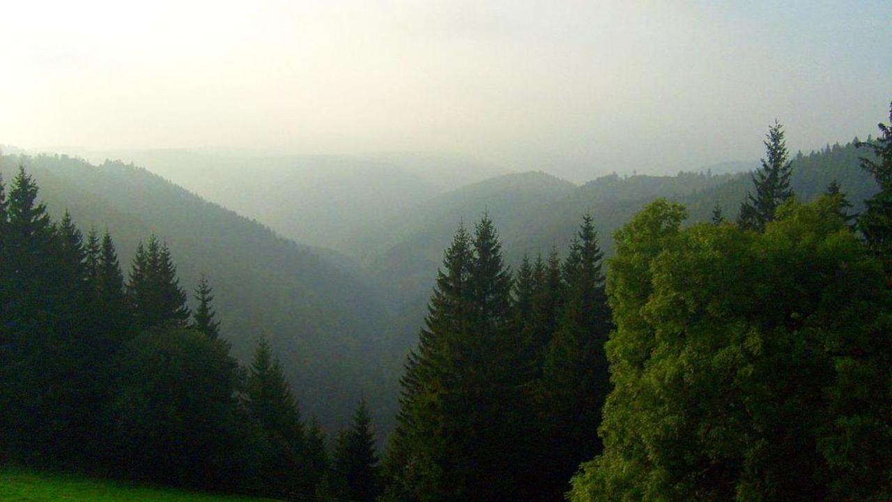 Hotel Schwarzwaldgasthaus Linde à Schramberg Extérieur photo